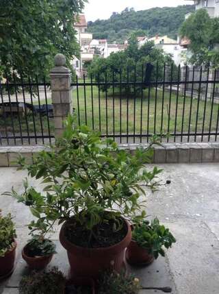 Гостевой дом Nazzi Улцинь Двухместный номер Делюкс с 1 кроватью-10