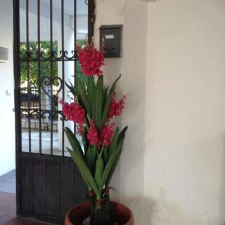 Гостевой дом Nazzi Улцинь Трехместный номер Делюкс-6